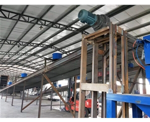 重型网带提升机